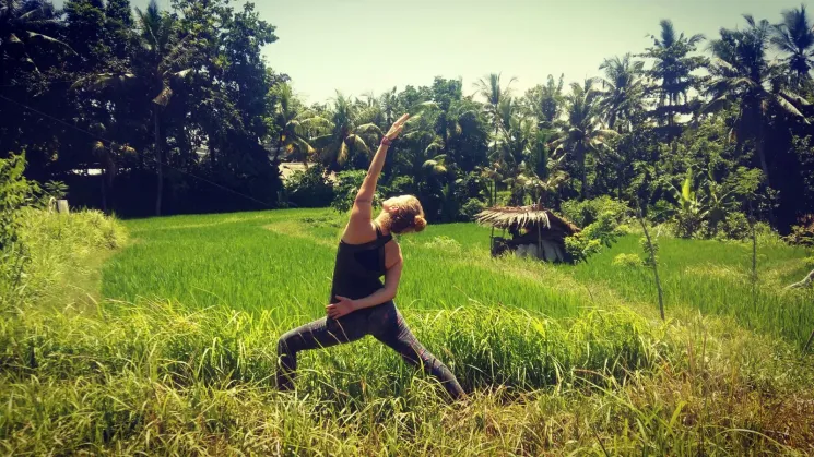 Vinyasa Flow - ONLINE @ Yoga Sol