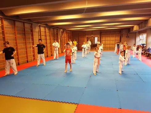 Cours Poomsae Compétition - DEB/MIN/CAD (8-13 ans) (ARQ) @ Sonbae Taekwondo Academy
