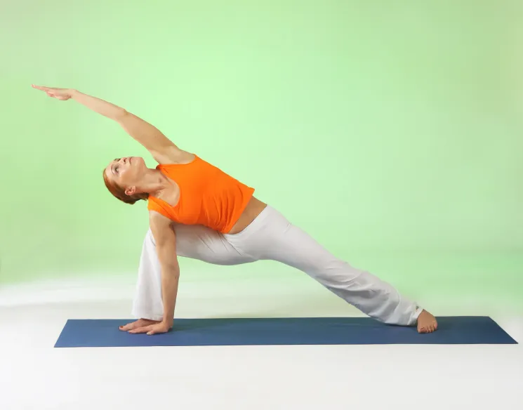 Yin-Yang Yoga, Online @ Yoga Vidya Neustadt ・ Vor-Ort & Online
