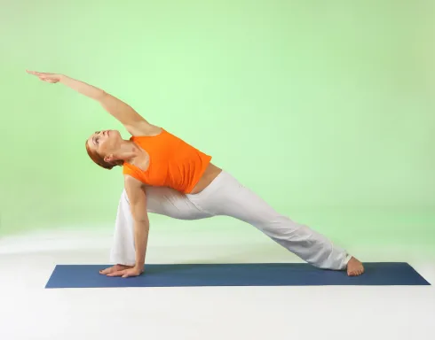 Yin-Yang Yoga, Online @ Yoga Vidya Neustadt ・ Vor-Ort & Online