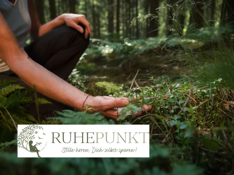 Waldbaden - Zeit für dich. Zeit für Natur. @ YOGAwelten - Studio und Akademie