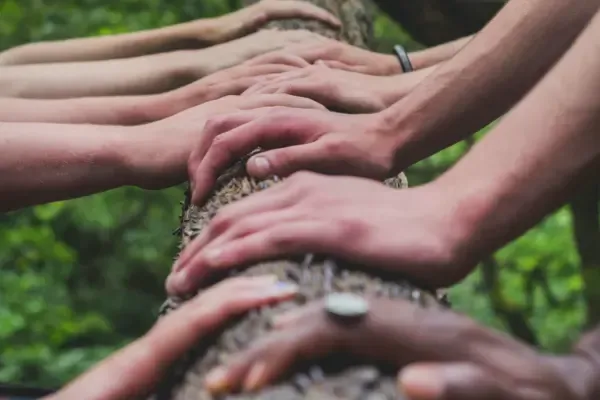 Yogaunterricht divers und inklusiv gestalten (Wahlmodul) 28.- 30.08.2026, 20 Std - Online @ Spirit Yoga Teacher Training