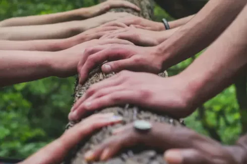 Yogaunterricht divers und inklusiv gestalten (Wahlmodul) 28.- 30.08.2026, 20 Std - Online @ Spirit Yoga Teacher Training