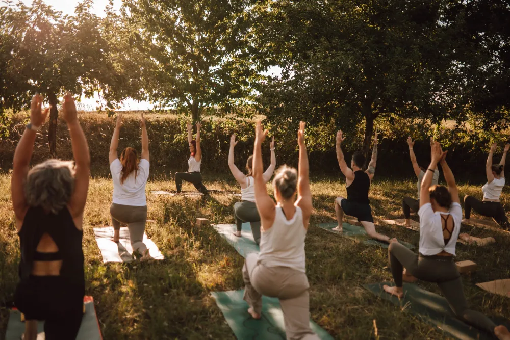FreiGefühl Yoga