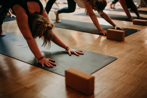 ONLINE Basic Flow  @ Urban Yoga Hamburg