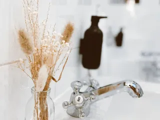 Dieser Anbieter hat keine Bildbeschreibung für dieses Bild hinterlegt