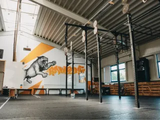 Dieser Anbieter hat keine Bildbeschreibung für dieses Bild hinterlegt