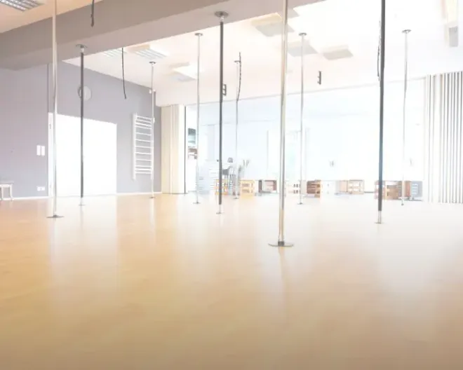 CSS AERIAL DANCE STUDIO