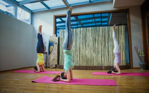 ONLINE: Yoga Mittelstufe mit Kathi @ Yoga Vidya Bamberg