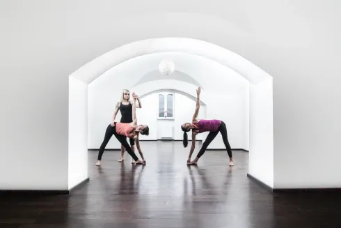 Ashtanga Yoga Technik - Präventionskurs - online @ Ashtanga Yoga Institut München