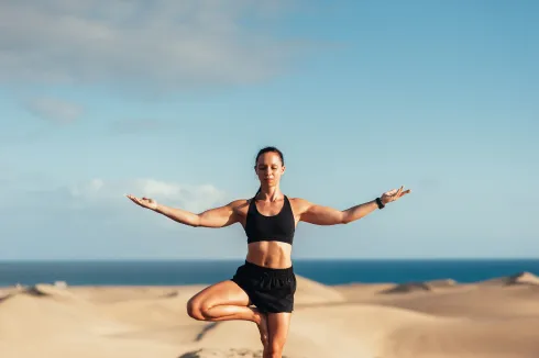 Dieser Anbieter hat keine Bildbeschreibung für dieses Bild hinterlegt