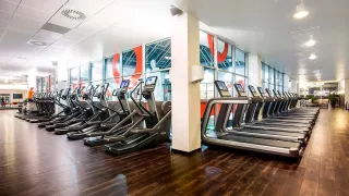 Dieser Anbieter hat keine Bildbeschreibung für dieses Bild hinterlegt