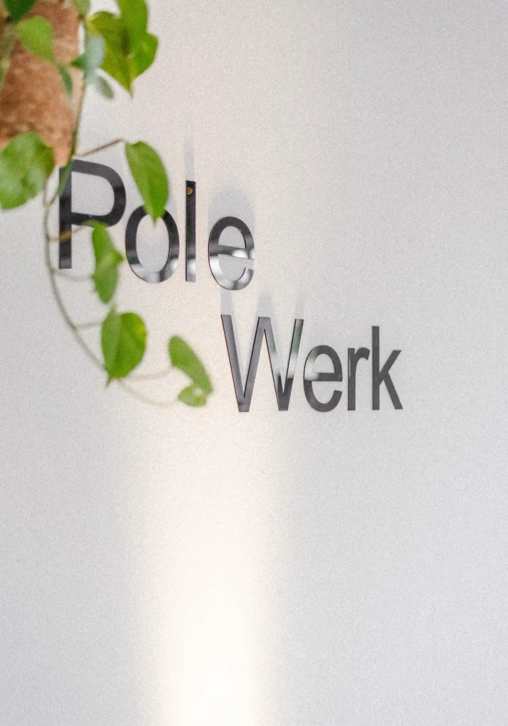 Pole Werk by Nelly
