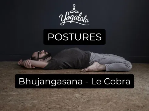 Le studio n'a pas fourni de description pour cette image