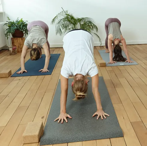 Intuitive Basics Yoga vor Ort @ youga