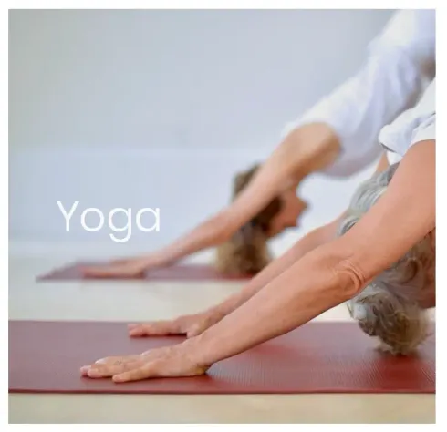Yoga Anfänger Mi Sabine @ Bewegung & Lebenskunst