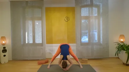 Le studio n'a pas fourni de description pour cette image