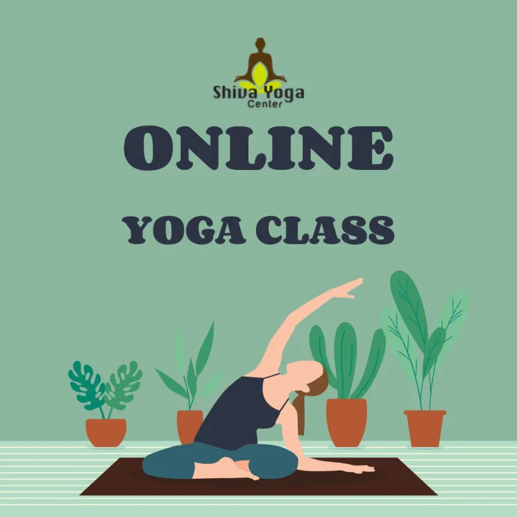 Iyengar Yoga | Precision & Alignment - ONLINE @ Shiva yoga center