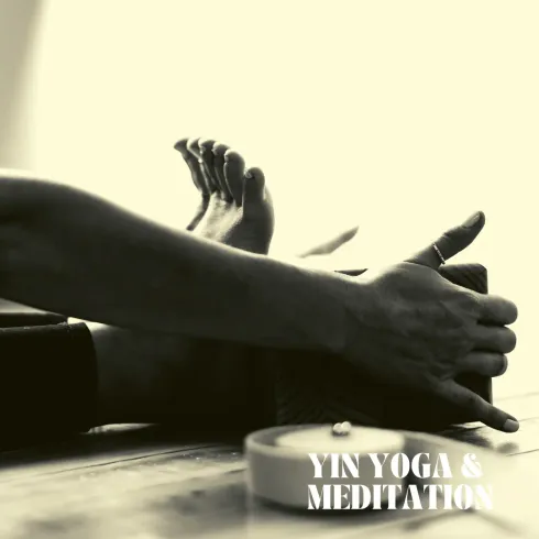 Yin Yoga  @ Stadtyogini  - Adaptives Yoga & Ayurvedic Yoga Therapy