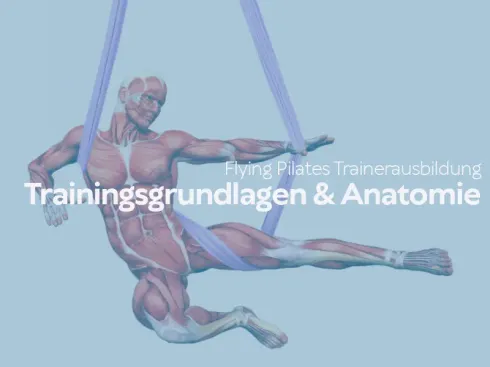 Flying Pilates Trainerausbildung - Trainingsgrundlagen & Anatomie @ Flying Pilates Trainerausbildungen