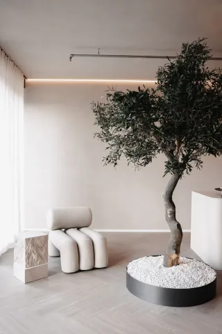 Dieser Anbieter hat keine Bildbeschreibung für dieses Bild hinterlegt