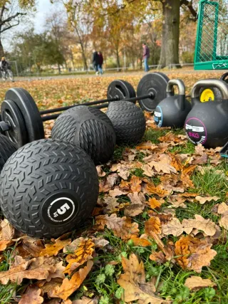 Dieser Anbieter hat keine Bildbeschreibung für dieses Bild hinterlegt