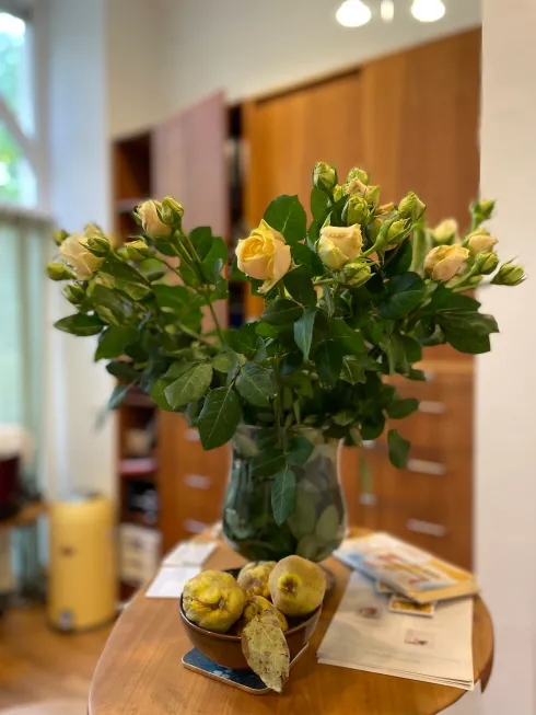 Le studio n'a pas fourni de description pour cette image