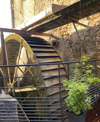 Le studio n'a pas fourni de description pour cette image de profil.