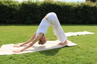 Dieser Anbieter hat keine Bildbeschreibung für dieses Bild hinterlegt