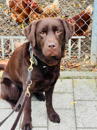 Dieser Anbieter hat keine Bildbeschreibung für dieses Bild hinterlegt
