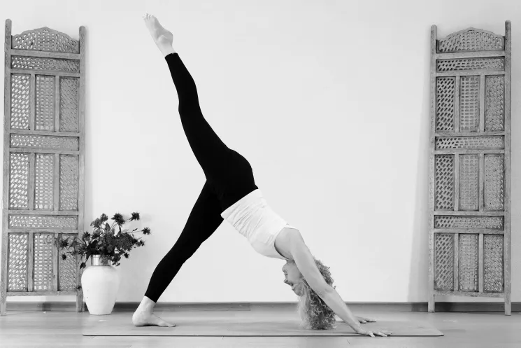 90 Minuten Vinyasa Yoga online Do @ Yogahaus Aachen