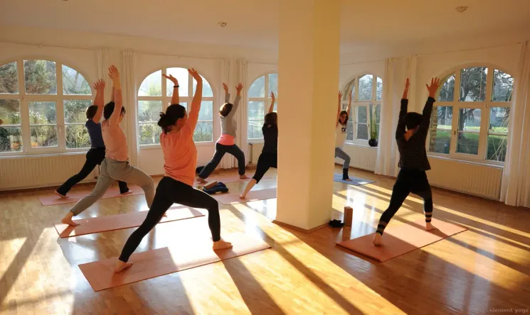 Vinyasa (flow) Yoga  @ element yoga