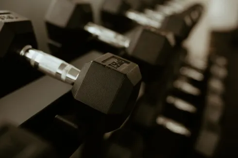 Movement Area - Dein Trainingspartner