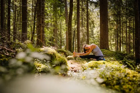 Dieser Anbieter hat keine Bildbeschreibung für dieses Bild hinterlegt
