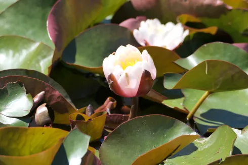 Anbieter Bild 4