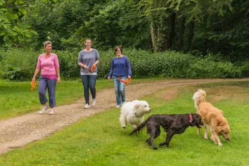 Wanderung mit Hund @ Martin Rütter Hundeschule Wiesbaden / Main-Taunus-Kreis