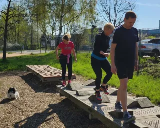 Dieser Anbieter hat keine Bildbeschreibung für dieses Bild hinterlegt