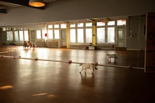 Dieser Anbieter hat keine Bildbeschreibung für dieses Bild hinterlegt
