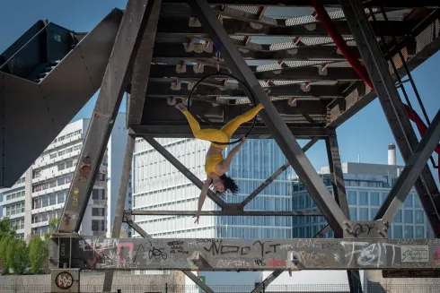 Probestunde/Trial Class: Aerial Hoop @ Dayuma - Pole & Acrobatics