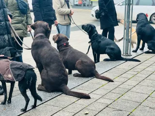 Dieser Anbieter hat keine Bildbeschreibung für dieses Bild hinterlegt