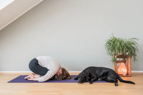 Yin Yoga + Meditation @ Studio AKASHA