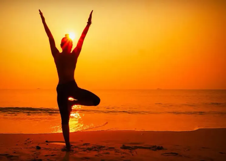 Kurs: Hatha Yoga für Frühaufsteher @ Yoga Vidya Bremen