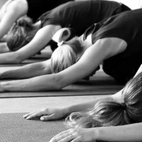 Präsenz: Hatha Yoga für Schwangere Mittwoch 18:00 Uhr Uhr @ Yoga Institut München