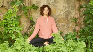 Dieser Anbieter hat keine Bildbeschreibung für dieses Bild hinterlegt