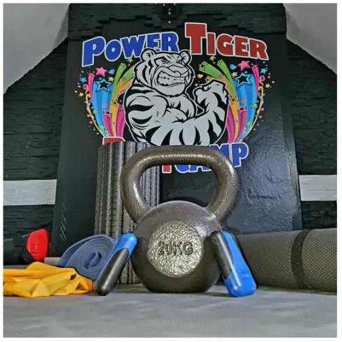 💻 MORNING CLASS – Stretch, Mobility & Fitness @ POWER TIGER