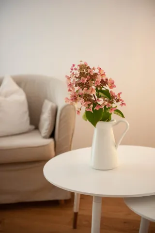 Dieser Anbieter hat keine Bildbeschreibung für dieses Bild hinterlegt