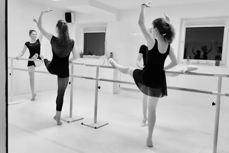 Ballett Basic @ Dance and Soul - Ballett- und Tanzschule