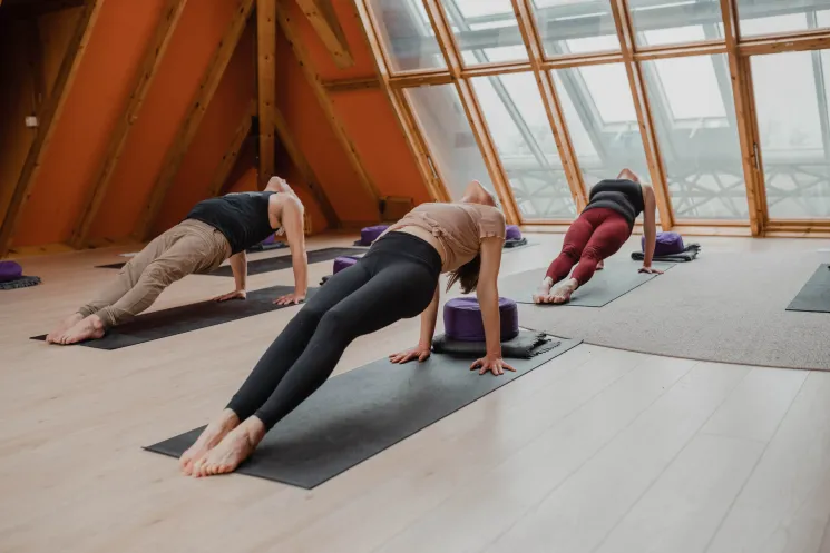 Easyflow Yoga & Wellness | 8 weken programma November| Valkenburg @ Yogaplace