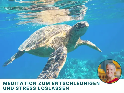 Meditation zum Entschleunigen und Stress loslassen @ Kadampa Meditationszentrum Köln
