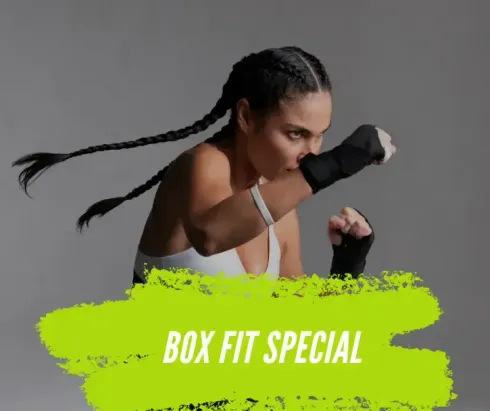 Online Box Fit @ FitnessHarmonie